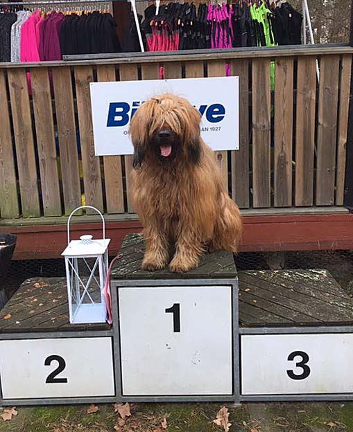 Gandalfs gallery site